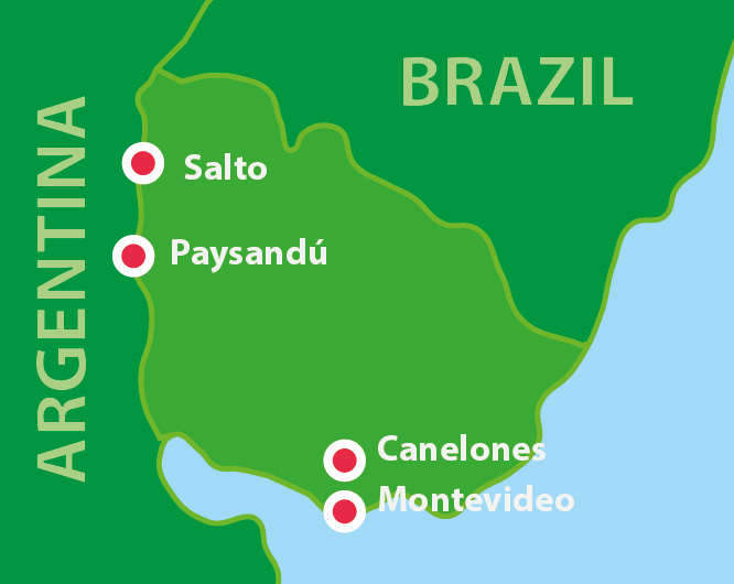 BrazyliaOsobno PL